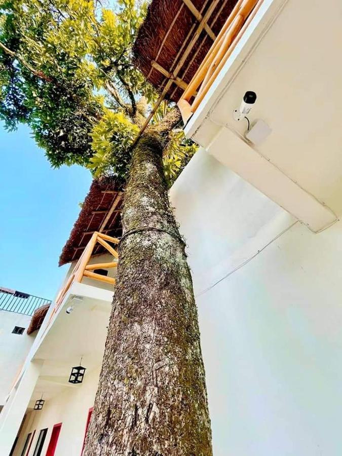 Hotel Sierra Linda 希利特拉 外观 照片